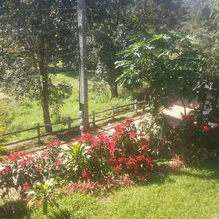 Phuoobfa Resort Pong Yaeng Exteriör bild